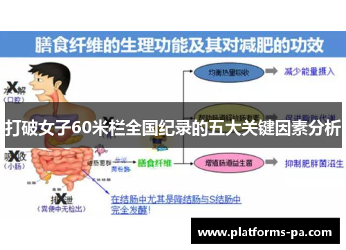 打破女子60米栏全国纪录的五大关键因素分析 打破女子60米栏全国纪录的五大关键因素分析