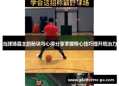 当球场霸主的秘诀与心得分享掌握核心技巧提升统治力 当球场霸主的秘诀与心得分享掌握核心技巧提升统治力