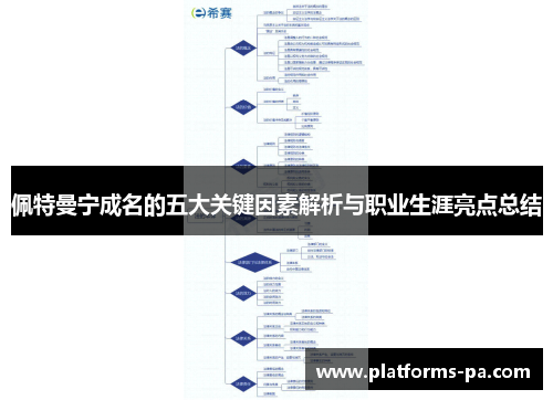 佩特曼宁成名的五大关键因素解析与职业生涯亮点总结 佩特曼宁成名的五大关键因素解析与职业生涯亮点总结