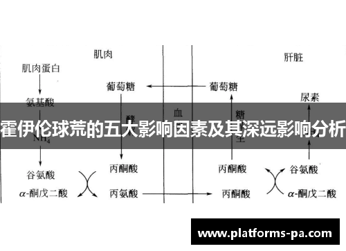 霍伊伦球荒的五大影响因素及其深远影响分析 霍伊伦球荒的五大影响因素及其深远影响分析