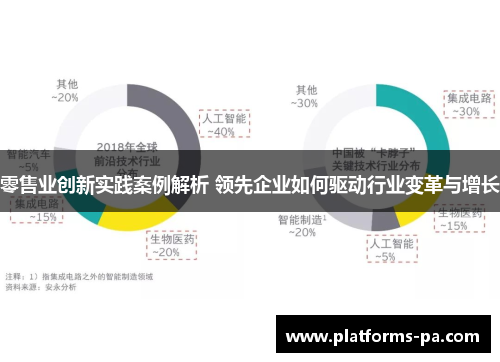 零售业创新实践案例解析 领先企业如何驱动行业变革与增长