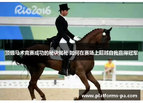 顶级马术竞赛成功的秘诀揭秘 如何在赛场上超越自我赢得冠军 顶级马术竞赛成功的秘诀揭秘 如何在赛场上超越自我赢得冠军