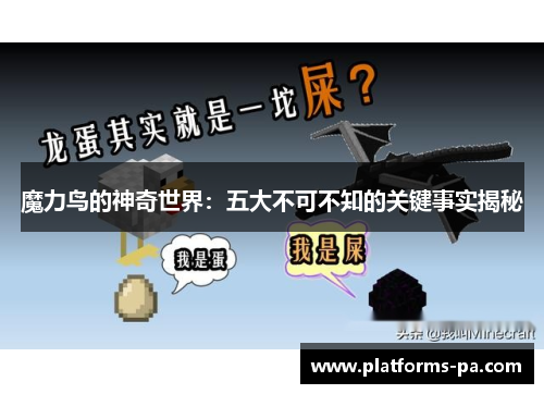 魔力鸟的神奇世界:五大不可不知的关键事实揭秘 魔力鸟的神奇世界:五大不可不知的关键事实揭秘