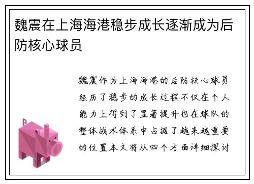 魏震在上海海港稳步成长逐渐成为后防核心球员